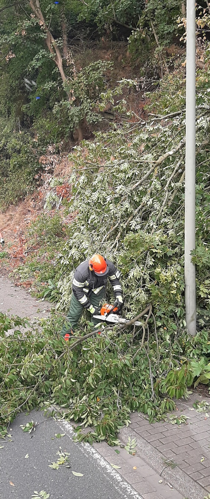 FW-EN: Wetter - Umgestürzter Baum auf der Hagener Straße