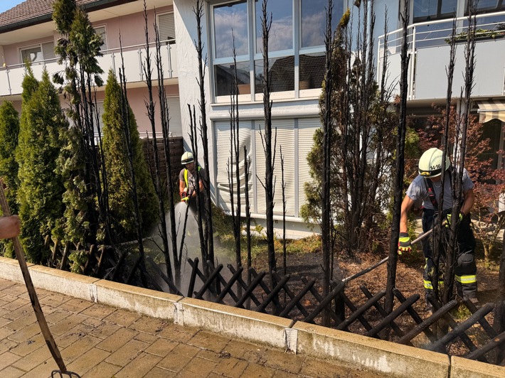 FW Stockach: Brand einer Gartenhecke