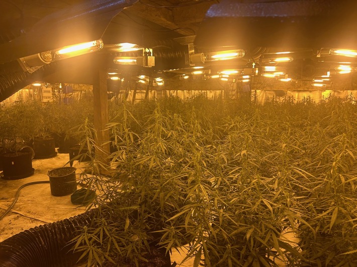 POL-OF: Telefonbetrüger trieben ihr Unwesen; Verkehrskontrollen mit Schwerpunkt "Beleuchtung"; Cannabis-Plantage in Scheune ausgehoben und mehr
