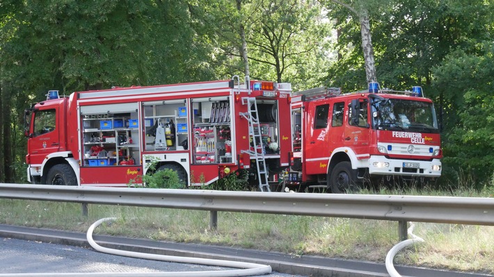 FW Celle: Waldbrand im Neustädter Holz