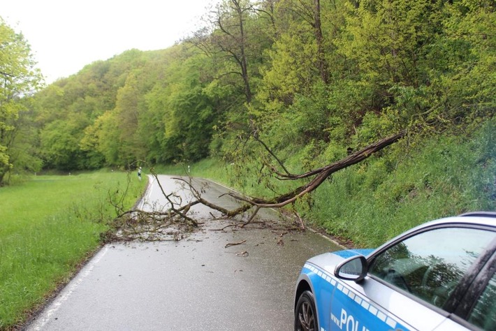 POL-PDKL: Baum stürzt auf Fahrbahn