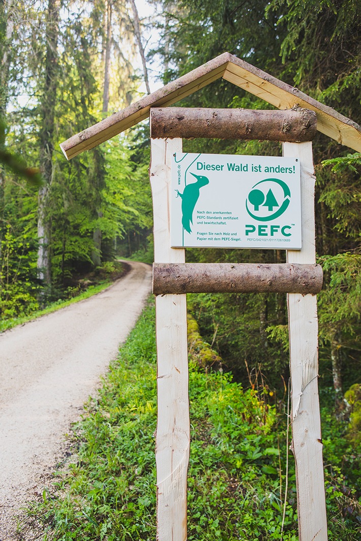 Nachhaltige Waldbewirtschaftung mit vereinten Kräften vorantreiben / PEFC fordert den WWF auf, beim Schutz der Wälder das eigentliche Ziel nicht aus den Augen zu verlieren (FOTO)