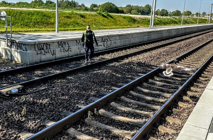 BPOL-KI: Gänsemarsch legt am 1. Mai Bahnverkehr lahm