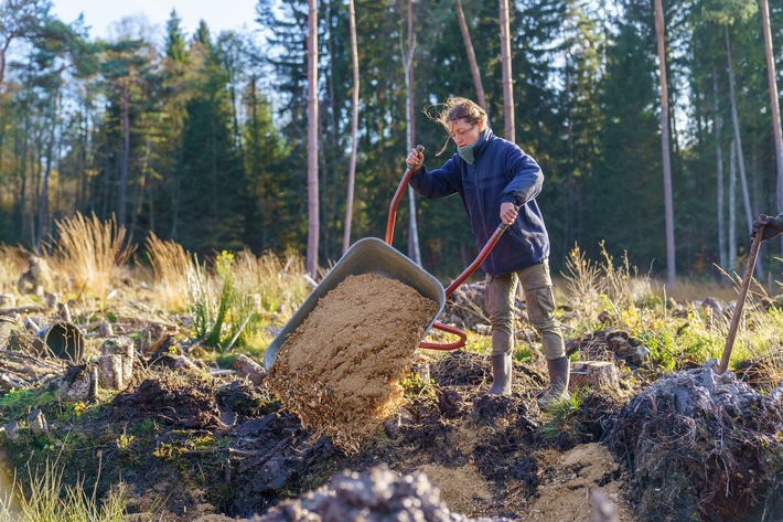 Moorschutz in der Eifel: Freiwillige schließen Entwässerungsgräben im Truffvenn