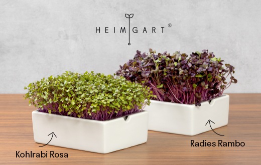 Presseinfo: Heimgart präsentiert Limited Edition mit neuen Microgreens-Sorten