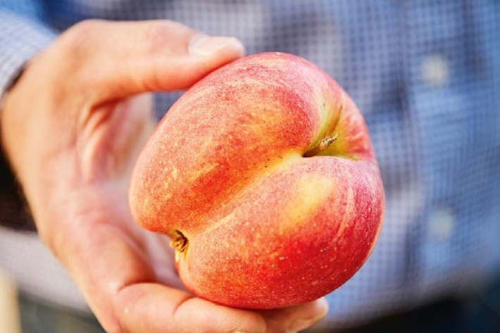 Gutes für alle: ALDI SÜD unterstützt Aktionswoche gegen Lebensmittelverschwendung (FOTO)