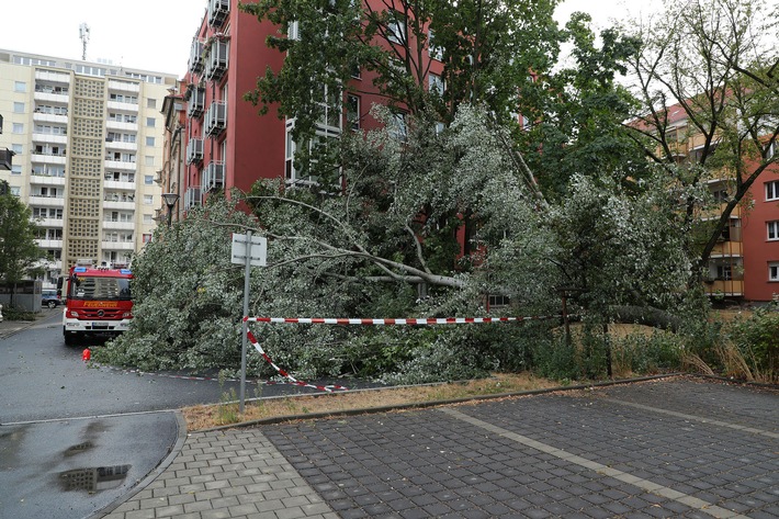 FW Dresden: Informationen zum Einsatzgeschehen der Feuerwehr Dresden vom 15. August 2022