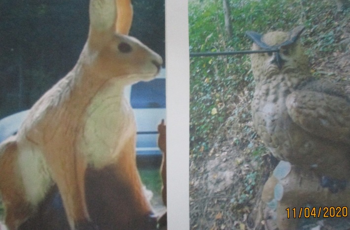 POL-OG: Gaggenau - Tierattrappen entwendet, gibt es Zeugen?