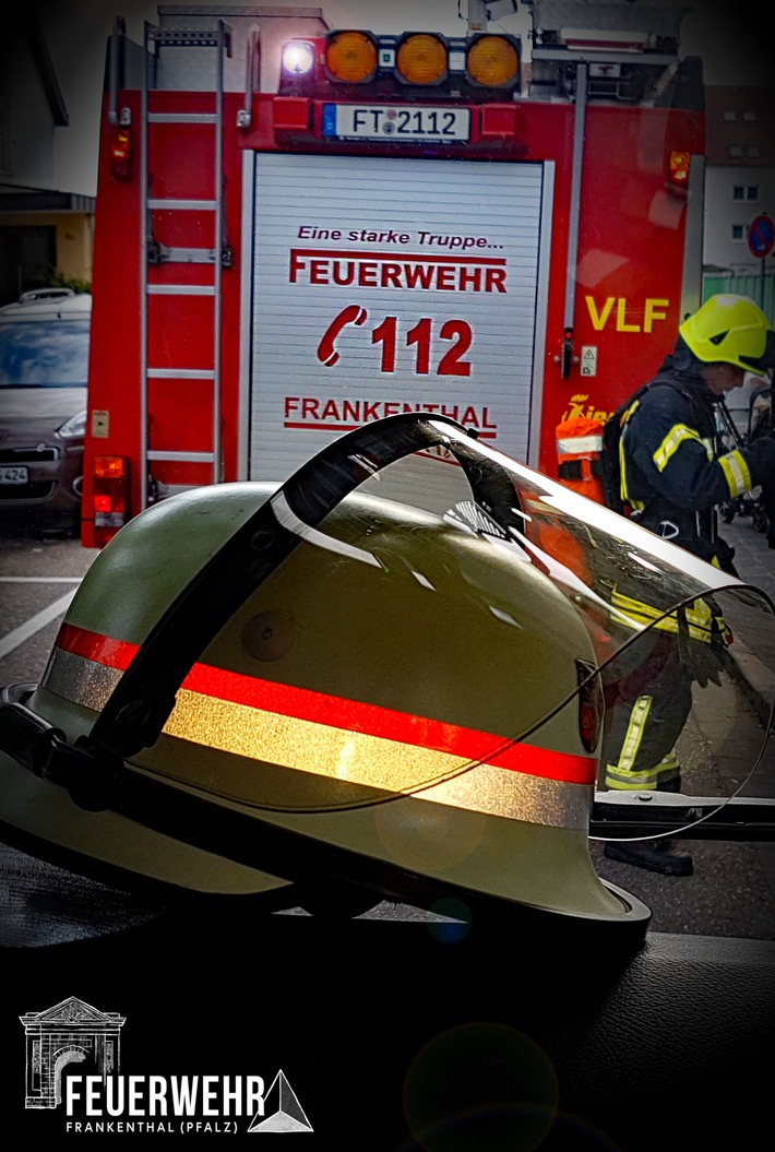 FW Frankenthal: Brand einer Mikrowelle - 3 Katzen gerettet
