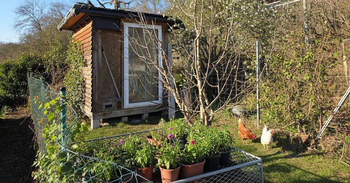 Häuser mit Hühnerstall - gefunden mit der KI-Suche