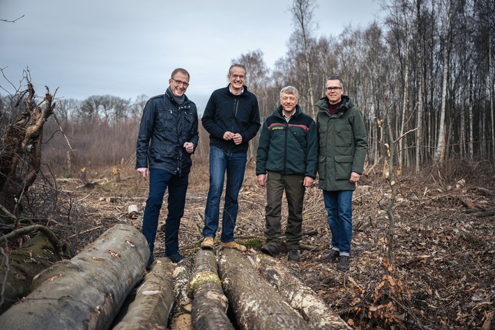 Westfälische Stieleiche soll dem Klimawandel trotzen / LBS-Kunden sorgen für 9.323 Bäume in NRW