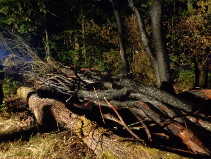 POL-PDPS: Waldbrand konnte rechtzeitig gelöscht werden