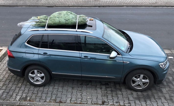 Tipps zum Weihnachtsbaumtransport / ADAC: so schafft es der Weihnachtsbaum sicher nach Hause