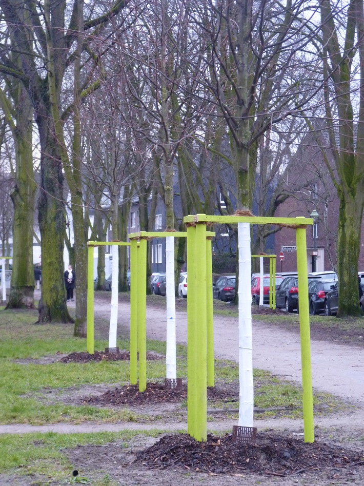 Straßenbäume tun gut und haben