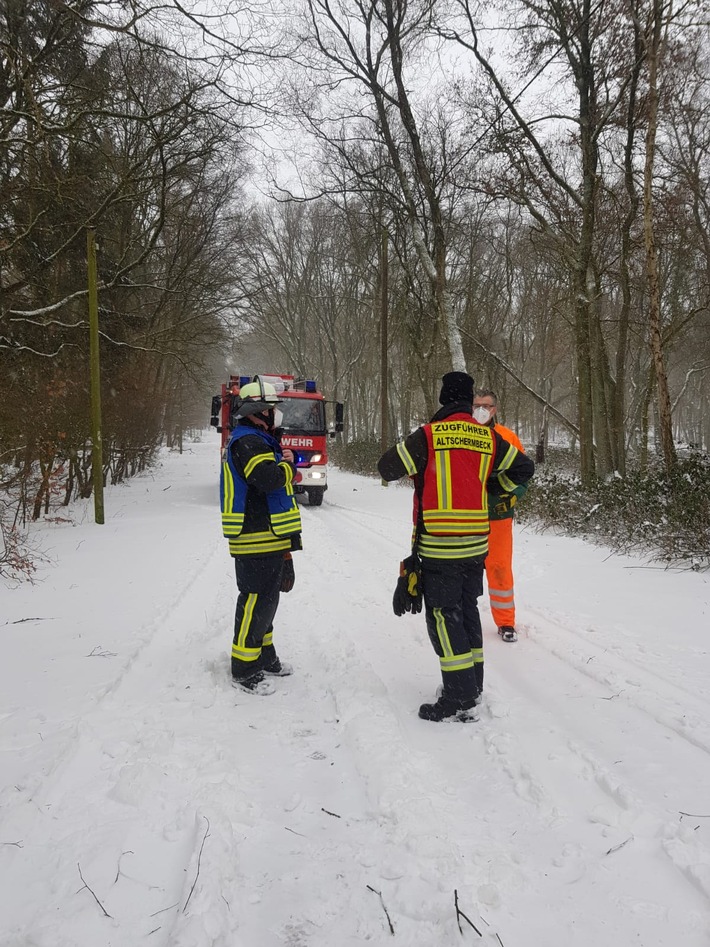 FW-Schermbeck: Baum in Oberleitung