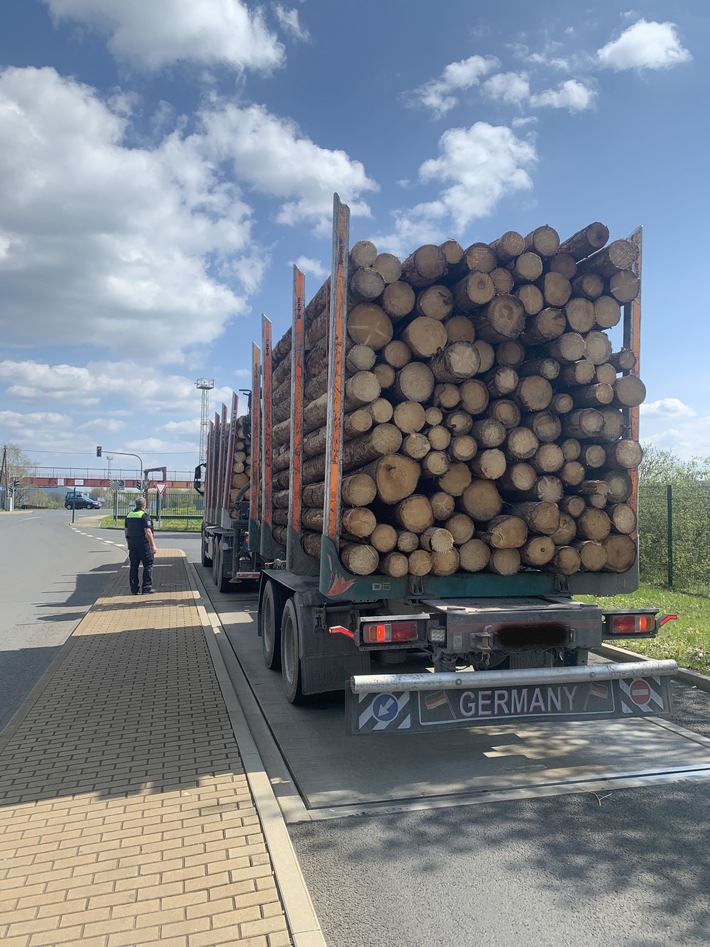 LPI-SLF: Holztransporte rücken in den Fokus