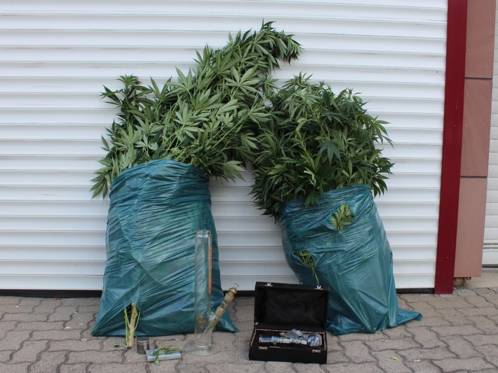 POL-PDKL: Cannabis-Plantage im Garten