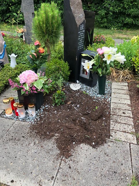 POL-DU: Rheinhausen: Sträucher von Grab auf Trompeter Friedhof gestohlen