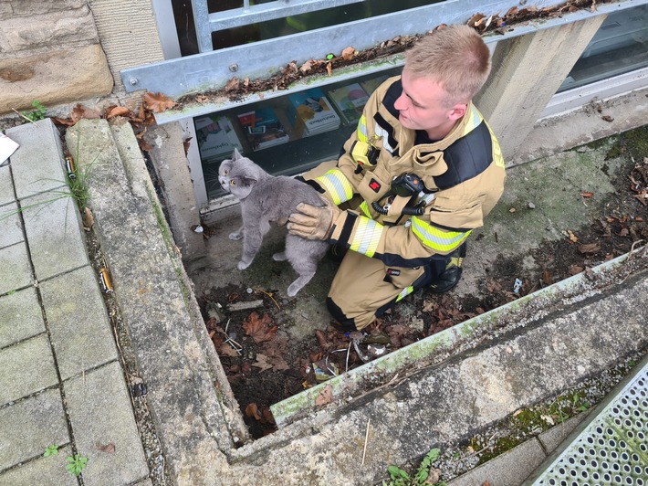 FW-EN: Feuerwehr rettet Katze