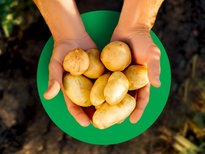 Lidl reduziert die Preise für deutsche Kartoffeln