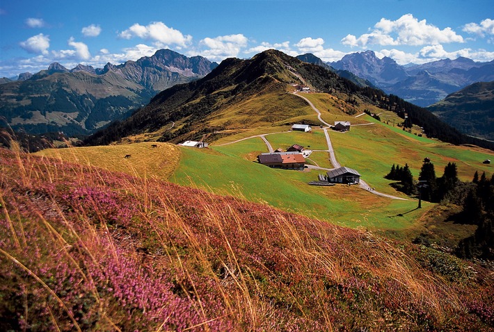 In Vorarlberg den Herbst aktiv genießen - BILD