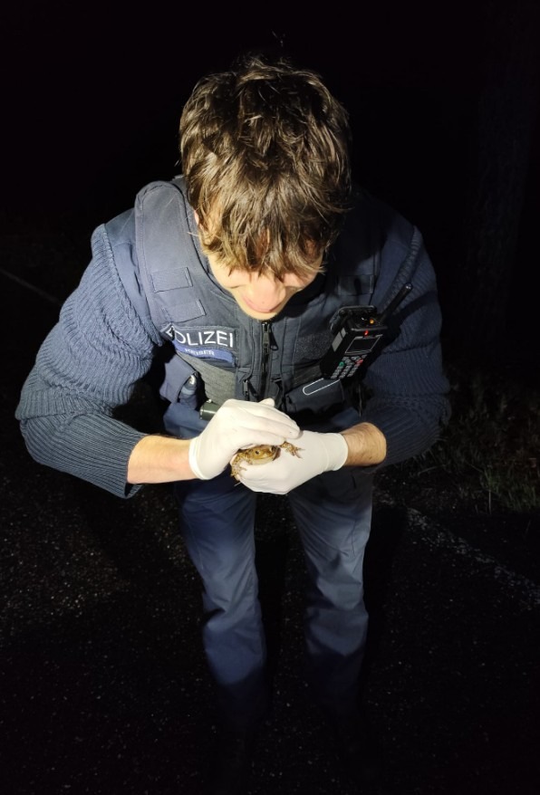 POL-PDLD: St. Martin - Erhöhte Vorsicht im Straßenverkehr wegen Krötenwanderung