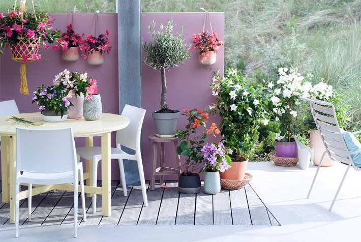 Sanfte Frühlingsbrise auf Balkon und Terrasse / Zarte Outdoor-Gestaltung in Pastelltönen