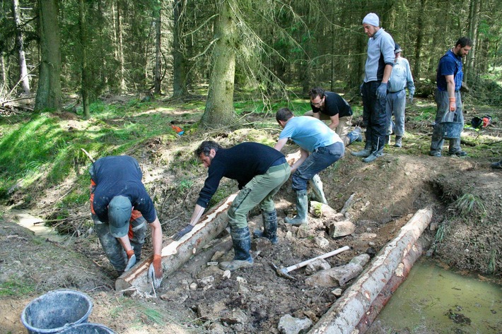 Für mehr Wasser im Wald: Bergwaldprojekt-Freiwillige werden erstmals im Rheingau aktiv