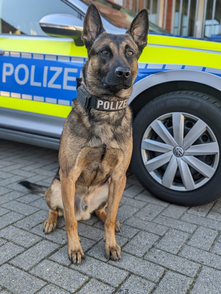 POL-DEL: Stadt Delmenhorst: Schwerer Raub auf einen Restaurantbetreiber im Stadtgebiet +++ Festnahme eines Tatverdächtigen +++ Haftbefehl erlassen