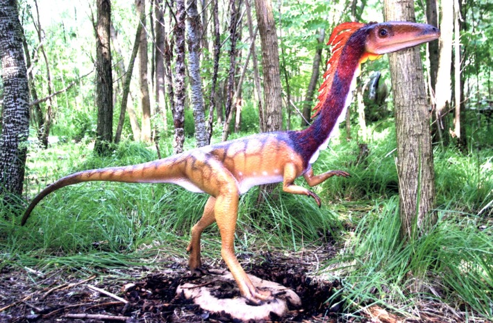 POL-MFR: (1093) Dinosaurier machte sich selbständig - Bildveröffentlichung