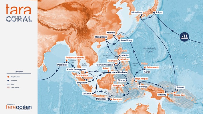 Auf Expedition im Korallendreieck, PI Nr. 122/2025