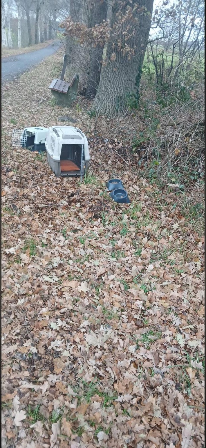 POL-ROW: Katzen ausgesetzt