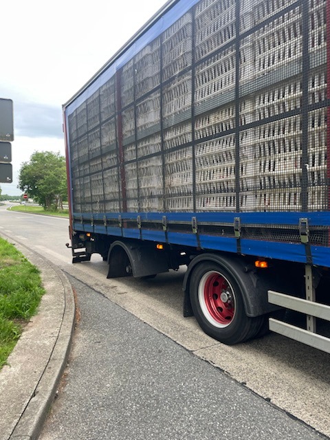 POL-CUX: Geflügeltransport stillgelegt
