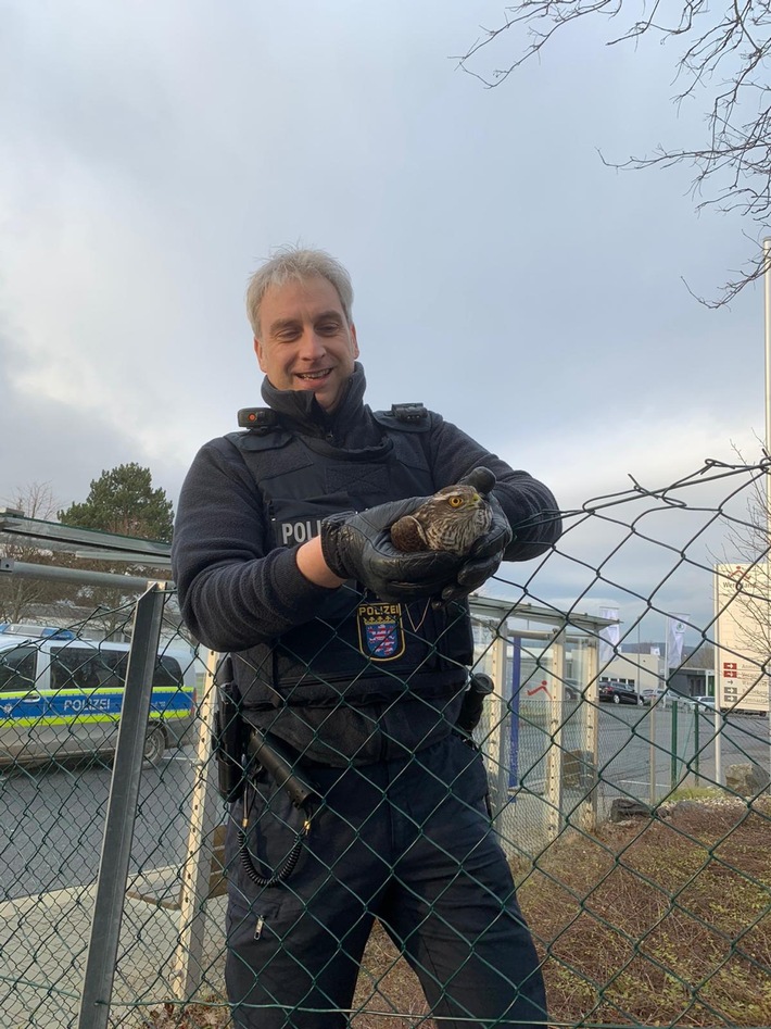 POL-ESW: Polizei als Retter in der Not; Beamten der Polizei in Eschwege retten einen Falken aus misslicher Lage