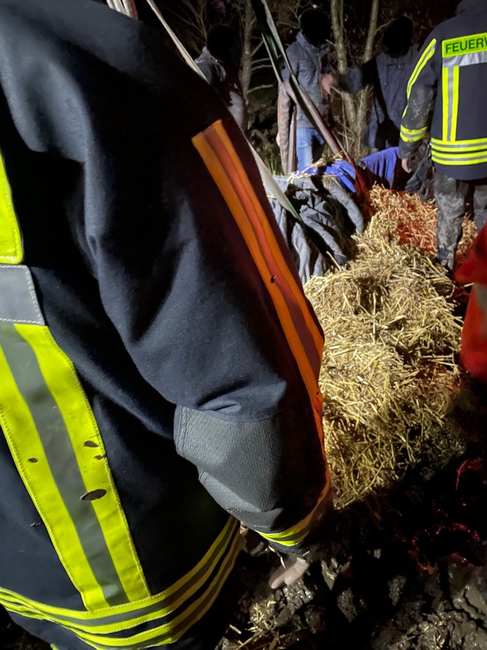 FW Horn-Bad Meinberg: Großtier-Rettung - Pferd fast vollständig in Schlamm versunken