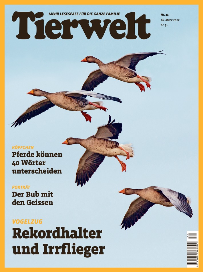 Die «Tierwelt» in neuem Kleid