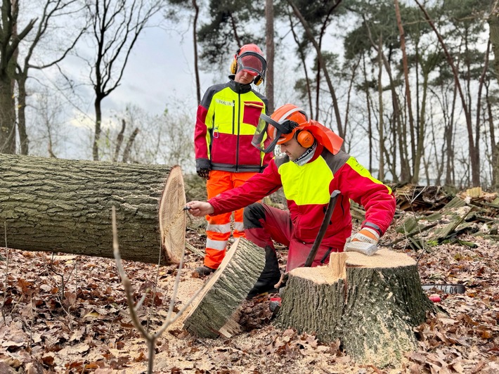 FW-OLL: Motorsägenausbildung erfolgreich fortgesetzt