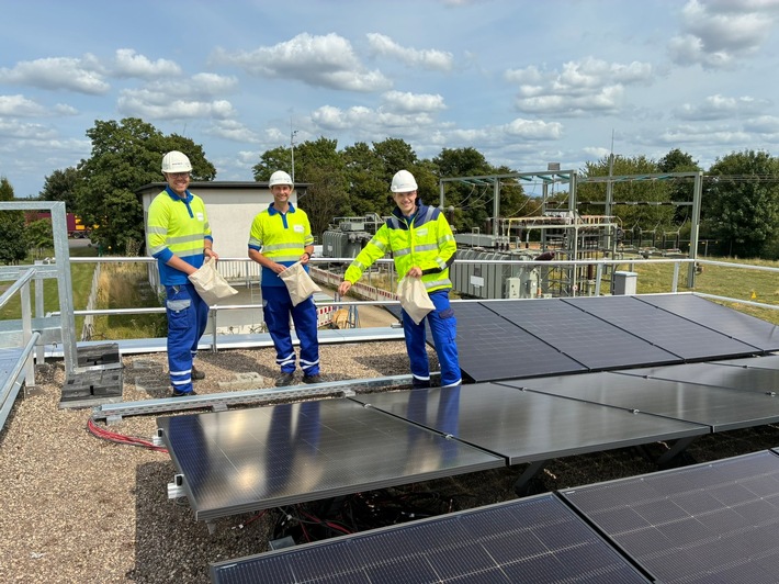 Westenergie Netzservice: Neue Gründach-Photovoltaikanlagen im Rheinland
