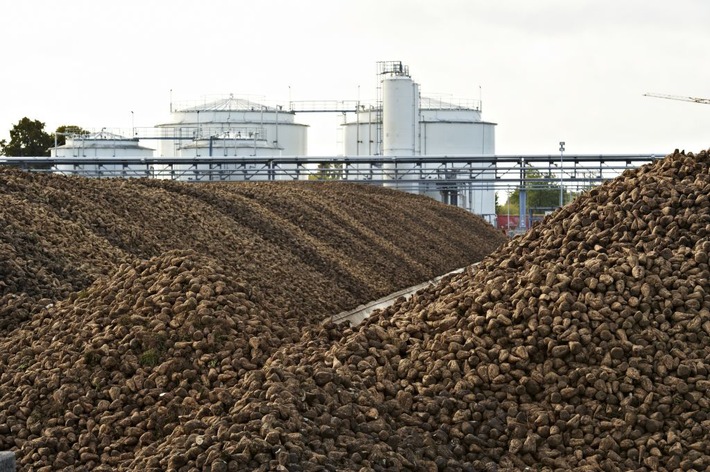 Bioethanol für die CO2-Einsparung bei Benzin - Produktion 2016 weiter auf hohem Niveau