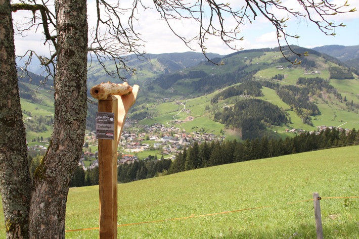 Die Salzburger Sportwelt startet in den Almsommer 2014 - BILD