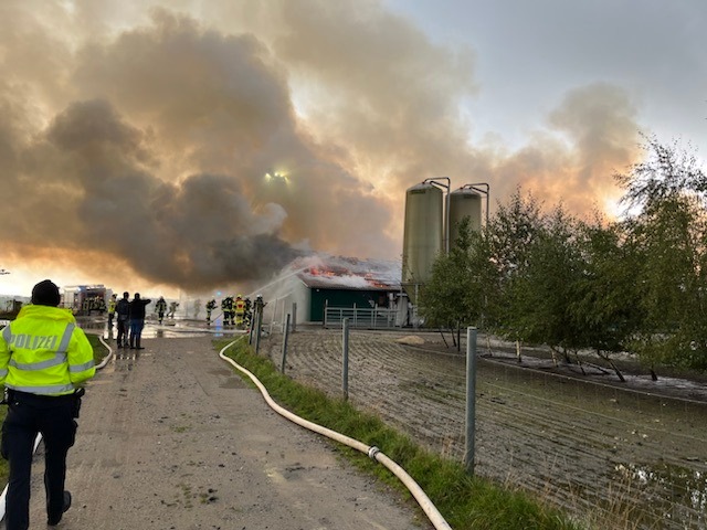 POL-CUX: Brand eines großen Stallgebäudes in Lüdingworth-Köstersweg - Keine verletzten Personen oder Tiere, jedoch enormer Sachschaden(Lichtbild in der Anlage)