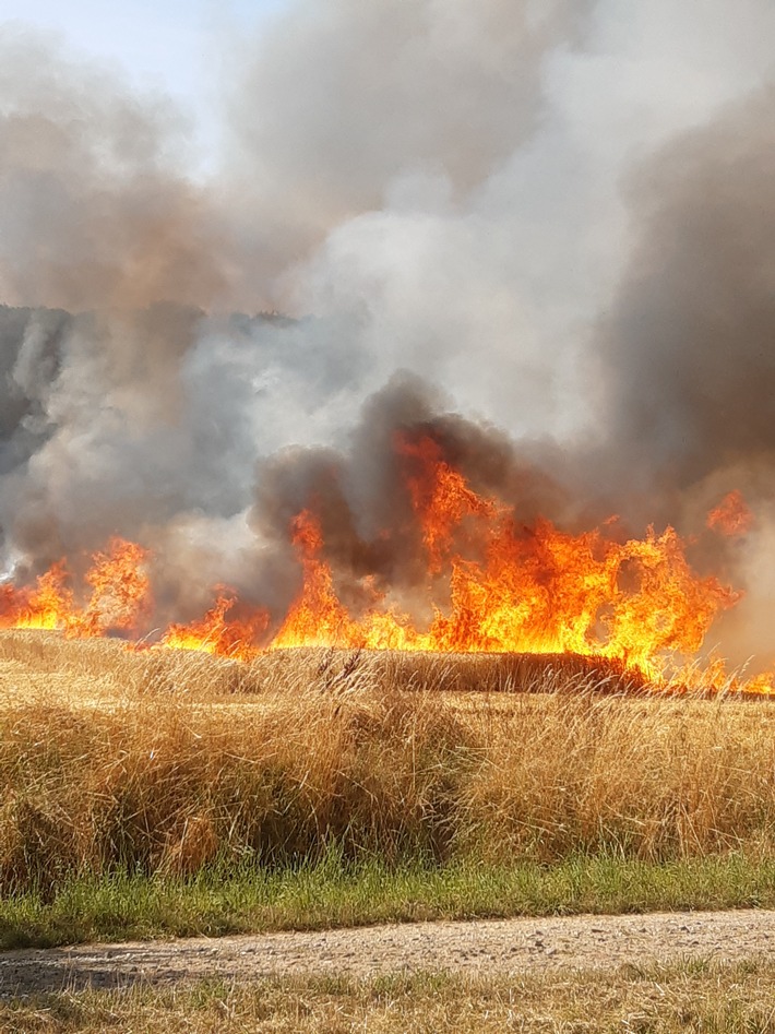 POL-HI: Brand eines Getreidefeldes