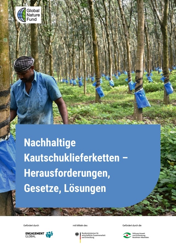 Nachhaltiger Naturkautschuk: GNF veröffentlicht Factsheet mit Handlungsempfehlungen für Unternehmen