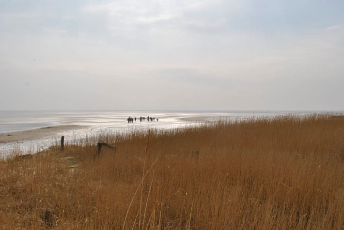 Wandern auf dem Meeresboden