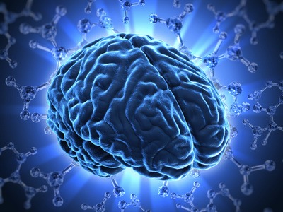 Vortragsreihe &quot;Mind Talks&quot; präsentiert Innovationen der Hirnforschung
