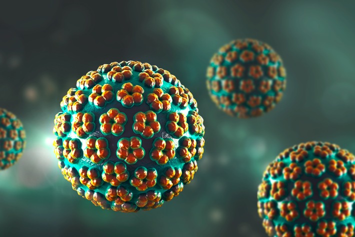HPV - Was ist das? / Studie offenbart großen Nachholbedarf bei HPV-Aufklärung