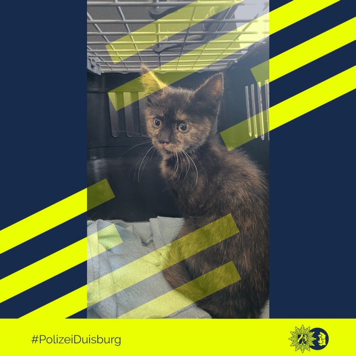 POL-DU: Obermarxloh: Babykatze aus Radkasten gerettet