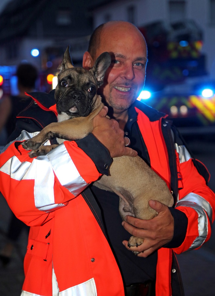 FW-AR: Essen auf Herd macht Feuerwehr am Samstagabend flott:
Sanitäter fangen orientierungslosen Hund ein