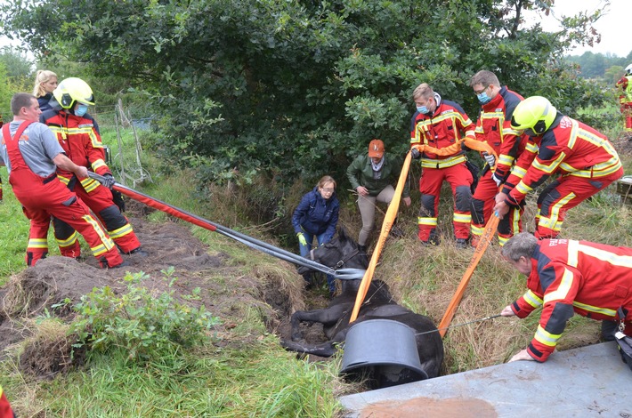 FW-PI: Tornesch: Feuerwehr befreit Pferd aus Graben