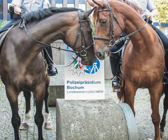 POL-BO: Landesreiterstaffel NRW in Bochum-Wattenscheid macht die Tür auf